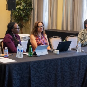 Collaboration Pre- and Post-Arrivals:  Government Assisted Refugees panel